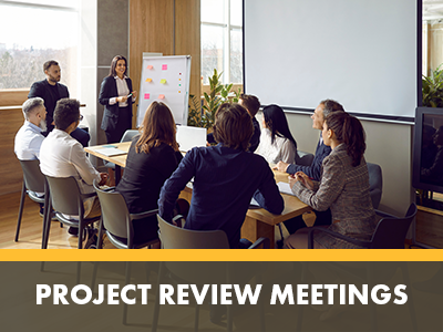 Project Review Meetings